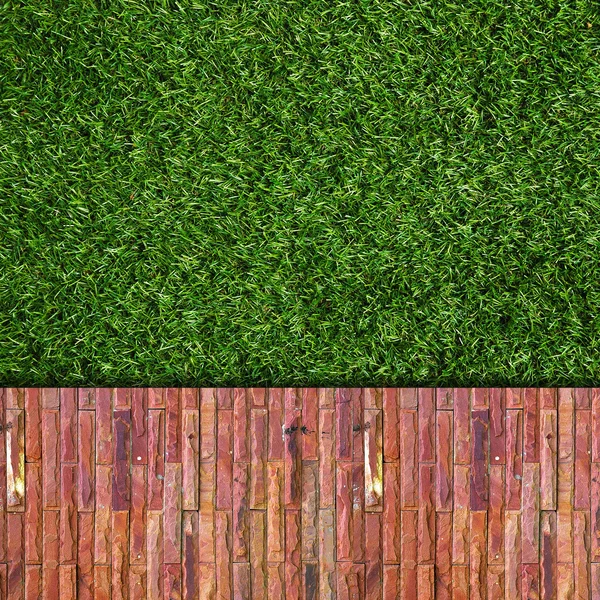 Fundo de parede na grama verde — Fotografia de Stock