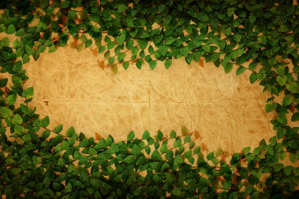 Verse groene bladeren frame — Stockfoto