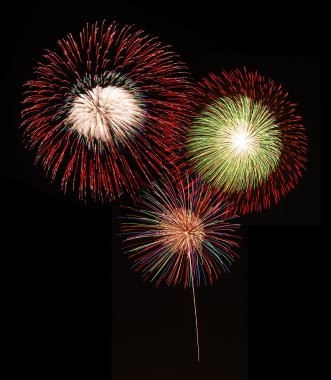 Fireworks siyah gökyüzü karşı