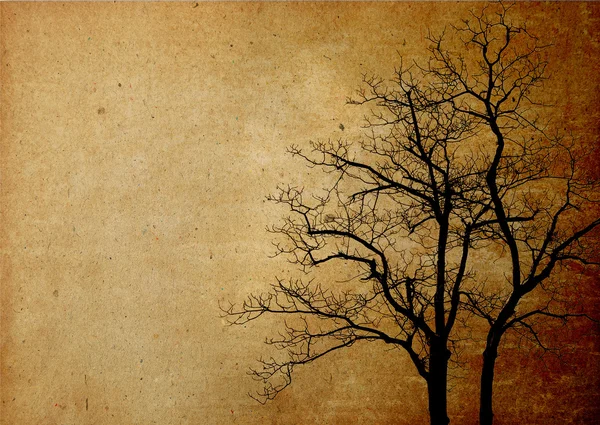 Abstrakt bakgrund gren på gamla papper — Stockfoto