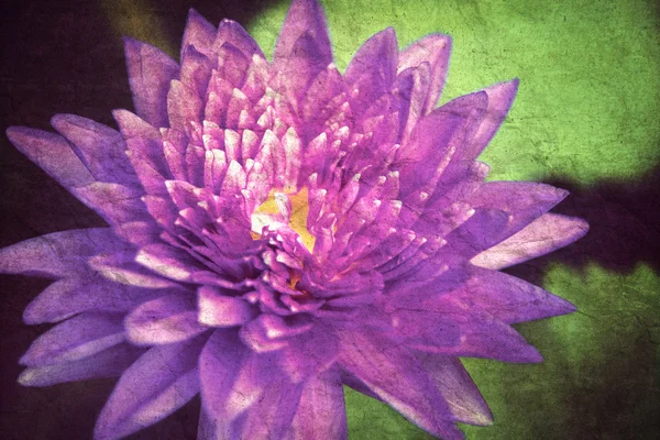 Fundo de flor de lótus, Estilo vintage — Fotografia de Stock