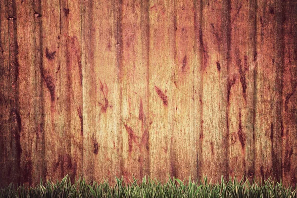 Green grass against and wall ,Vintage style — Stock Photo, Image