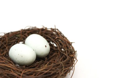 Bird's Nest with Eggs clipart