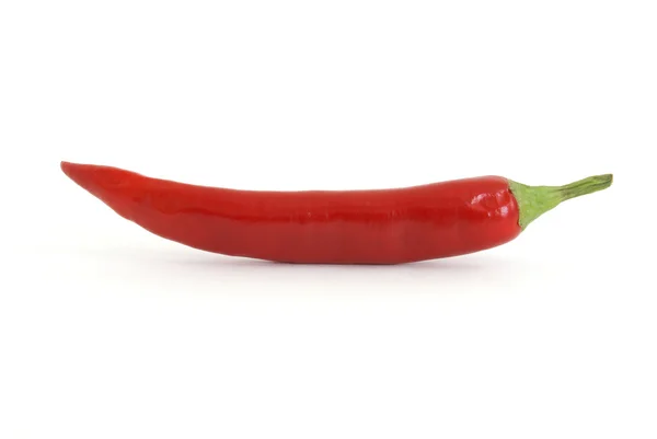 Červená chilli paprika — Stock fotografie