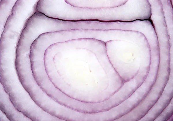 stock image Red Onion Background