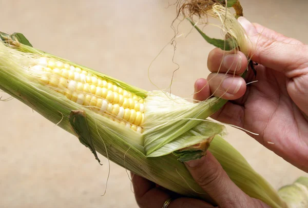 Husking Corn — Stock Photo, Image
