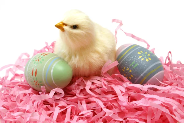 Easter Chick and Eggs — Stock Photo, Image