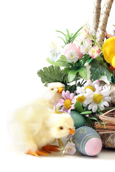 Easter Chicks — Stock Photo, Image