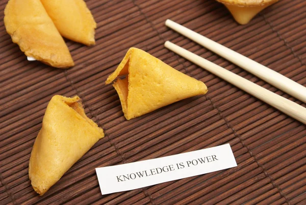 Fortune cookie van kennis — Stockfoto