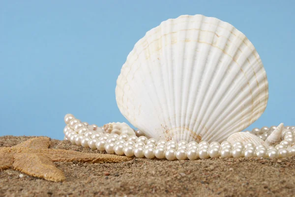 Perlas del océano —  Fotos de Stock