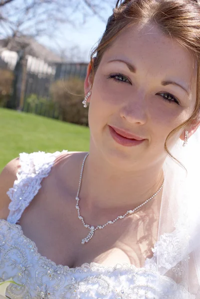 Bridal Portrait — Stock Photo, Image