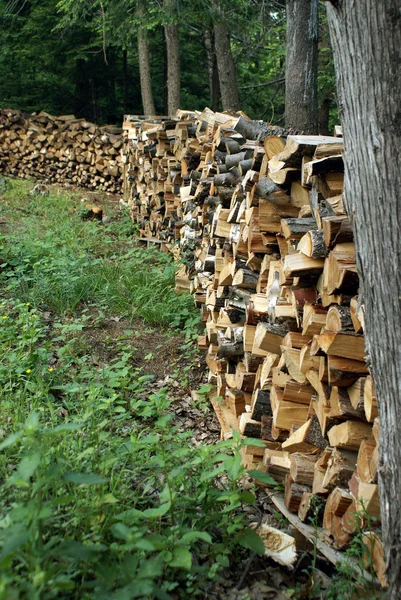 Yakacak odun stoğu — Stok fotoğraf