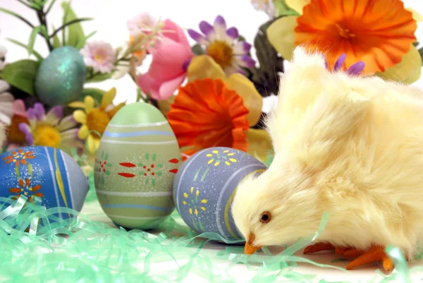 Easter Chick — Stock Photo, Image