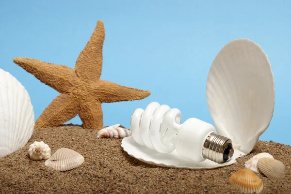 Ocean Pearl lampadina — Foto Stock