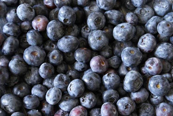 stock image Blueberries