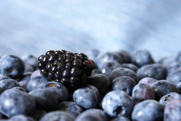 Blackberry on Blueberries — Stock Photo, Image