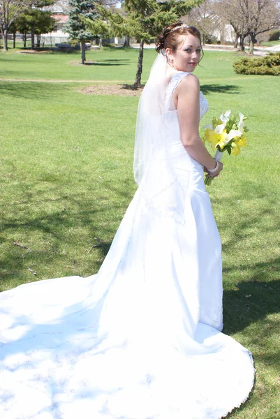 New Bride — Stock Photo, Image