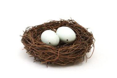 Bird's Nest with Eggs clipart