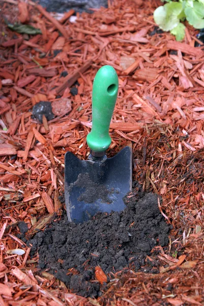 Garden Shovel — Stock Photo, Image