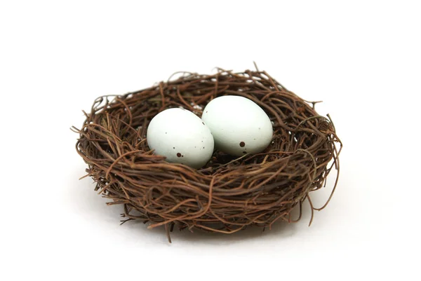 鳥の巣に卵 — ストック写真
