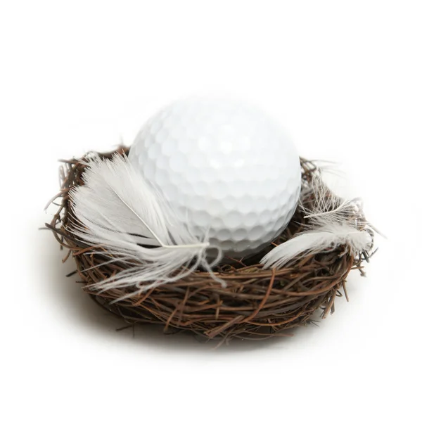 Golfer's Nest Egg — Stock Photo, Image