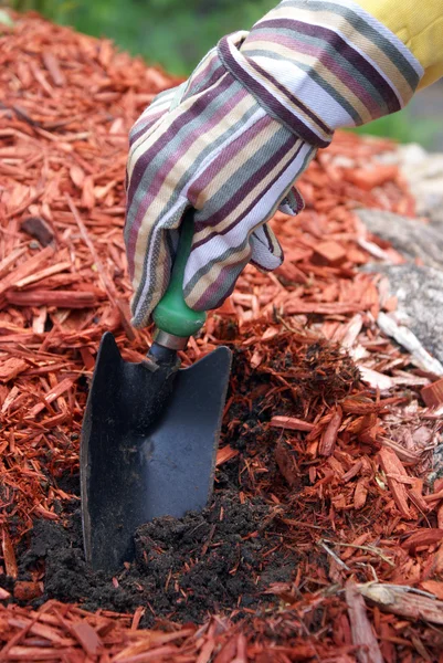 Jardineiro prepara solo — Fotografia de Stock