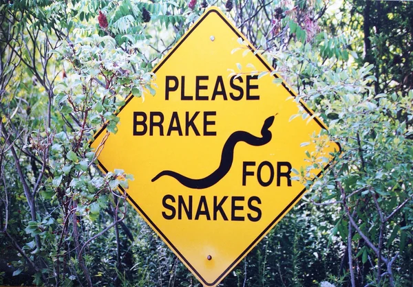 Rem voor slangen — Stockfoto