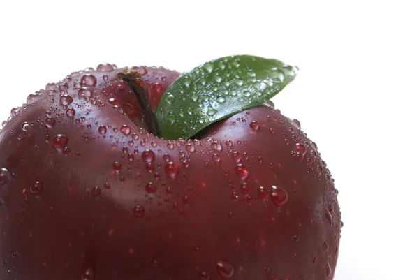Frischer Macintosh-Apfel — Stockfoto