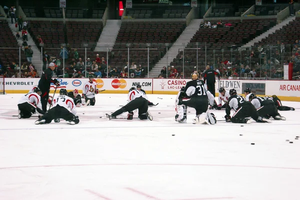 stock image Ottawa Senators Stretches