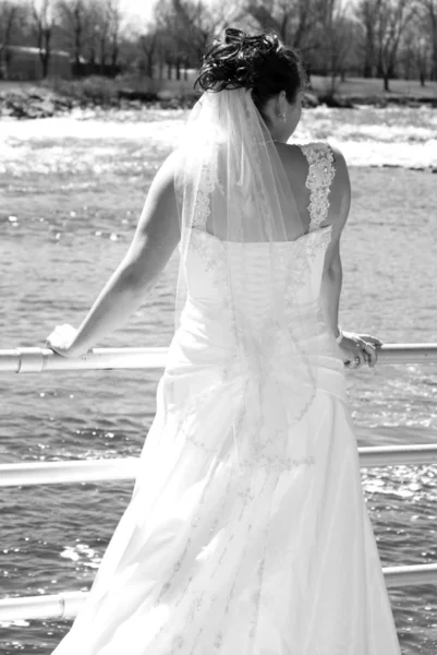 Back of a Bride — Stock Photo, Image