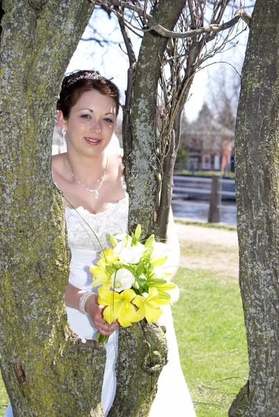 Невеста на деревьях — стоковое фото