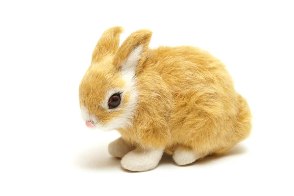 Кролик-кролик — стоковое фото