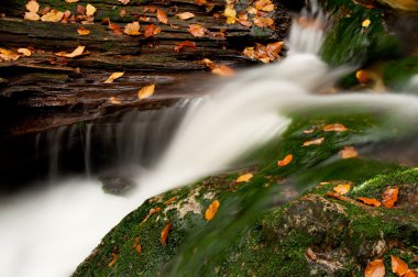 güzel autumnm şelale