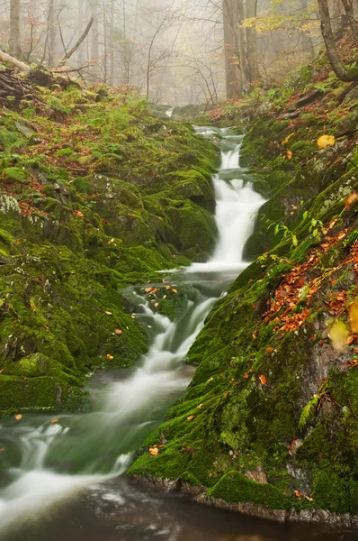 Beautiful Misty Waterfall — Stock Photo, Image