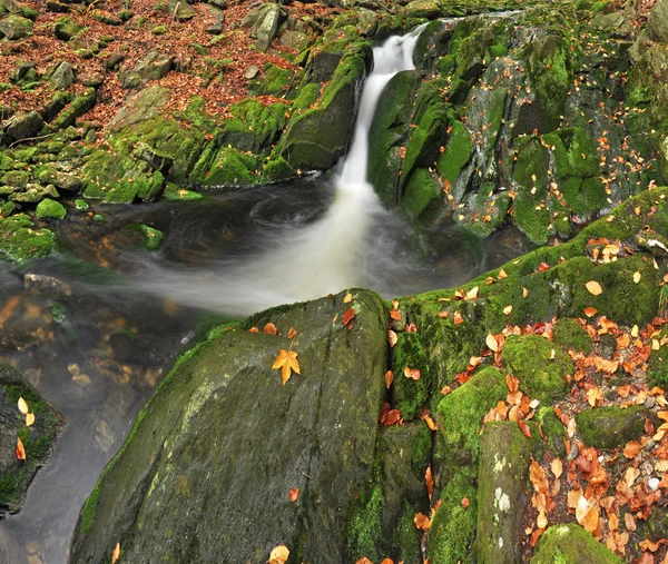 Beautiful Autumn Waterfall — Stock Photo, Image