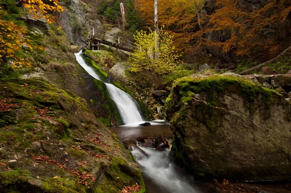 Cascada de otoño —  Fotos de Stock