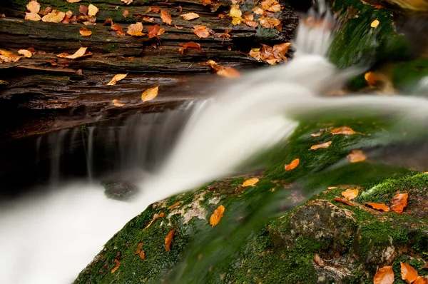 Красивий водоспад Autumnm — стокове фото