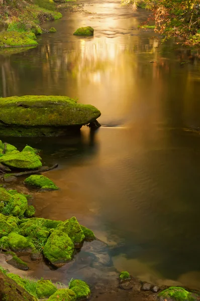 Bonito Creek Outono — Fotografia de Stock