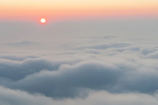 Туманний ранковий — стокове фото