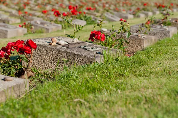 Cimitero di Terezin — Foto Stock