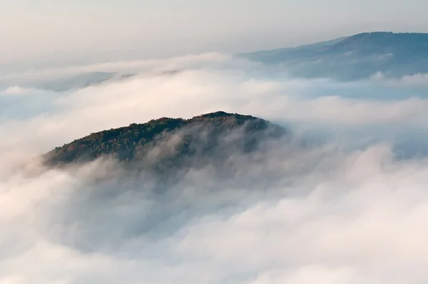 霧の風景 — ストック写真