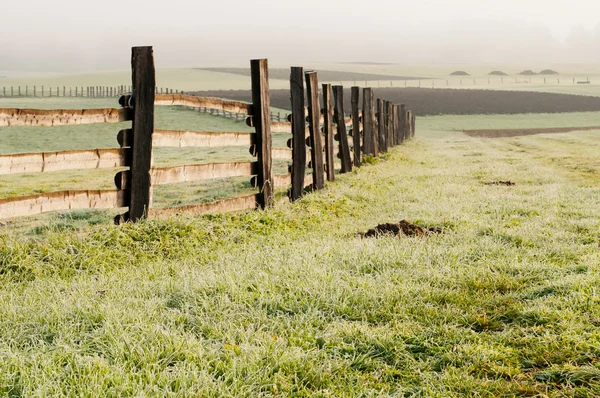Осеннее поле с забором — стоковое фото
