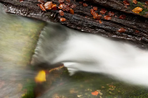 stock image Beautiful Autumnm Waterfall