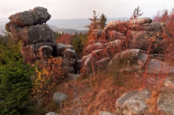 Krajobraz jesienny poranek — Zdjęcie stockowe