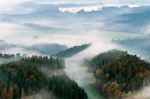 霧のかかった朝 — ストック写真