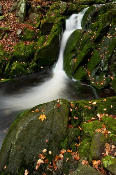 Belle cascade d'automne — Photo