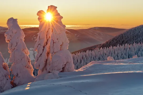 País das maravilhas do inverno Fotos De Bancos De Imagens Sem Royalties