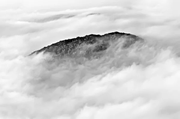 Summit of the Mountain — Stock Photo, Image