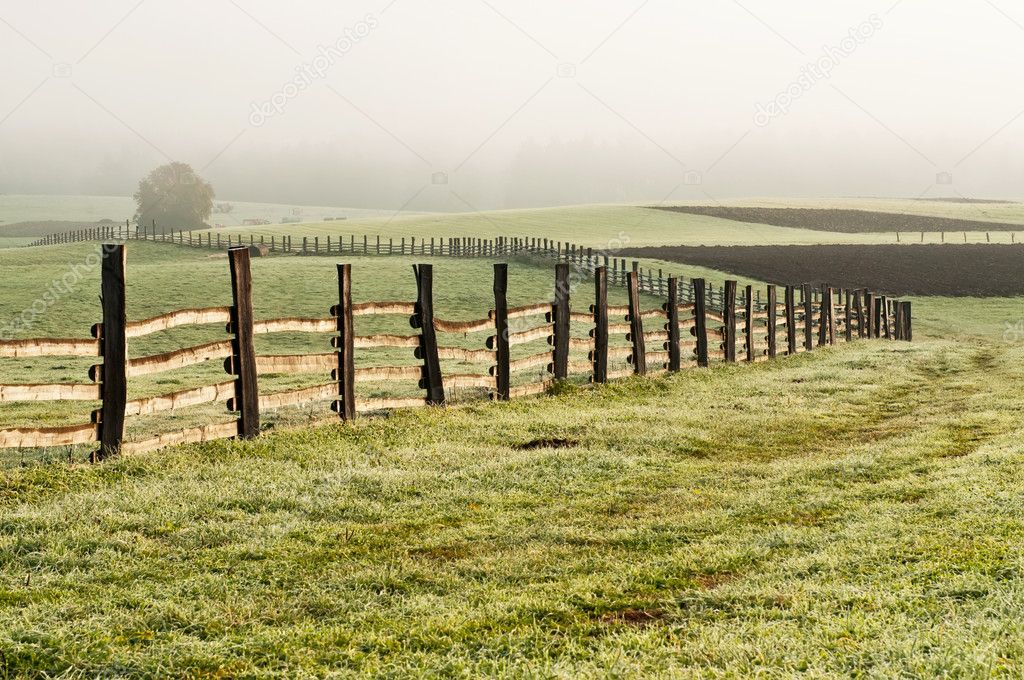 Autumn Field with Fence