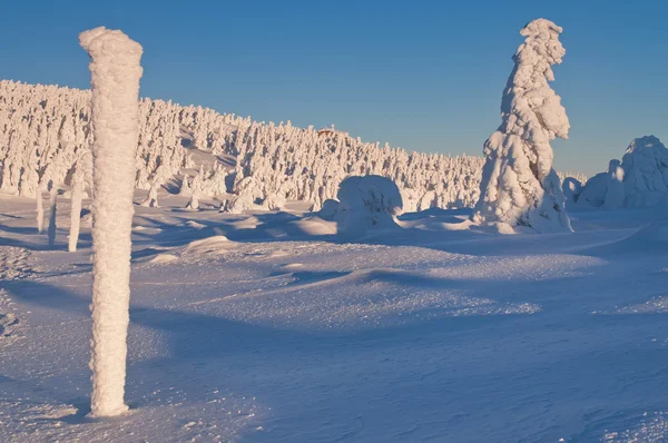 País das maravilhas do inverno — Fotografia de Stock